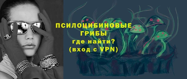 гидропоника Бородино