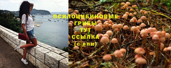 трава Бронницы