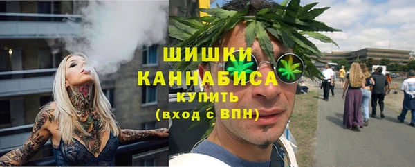 гидропоника Бородино