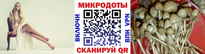 купить   Менделеевск  Галлюциногенные грибы Psilocybe 